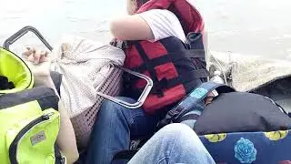 Утка с утятами посередине Амура
