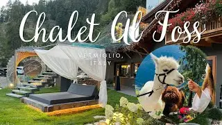 We came here to have breakfast with Alpacas and got so much more