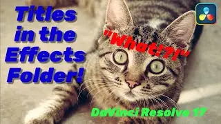 Titles in the Effects Folder - DaVinci Resolve 17