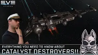 Using The CATALYST To Speed Up Your Progress!! || EVE Echoes