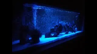 como hacer luz noche para acuario