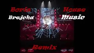 Boris Brejcha - House Music (Remix)
