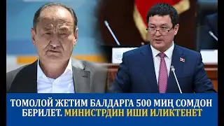 Томолой жетим балдарга 500 миң сомдон берилет. Министрдин иши иликтенет