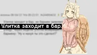 Улитка заходит в бар. Двач