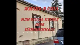 когда покупаешь дом у плюшкина...