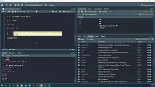 Variables en R programming