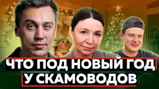What's up with Infotusovochka for the New Year? Portnyagin, Blinovskaya and others