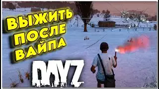 Стартуем после вайпа | DayZ PREDATORS HARD PVE