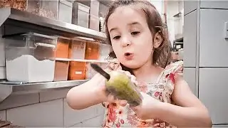 بيبي زينة طبختلنا ( خلطات جديده )