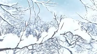 ABBA - Happy New Year (slowed + reverb)