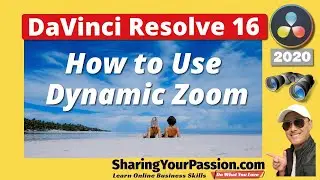 Dynamic Zoom and Pan - DaVinci Resolve