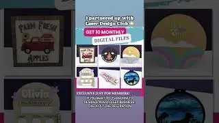 Master Laser Business: Level Up Your Skills