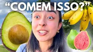 Gringa PROVANDO Frutas Brasileiras | VITAMINA de ABACATE e Comida do SUL