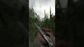 Hell Let Loose