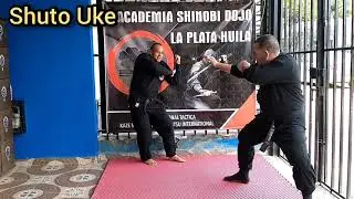 DAKEN KIHON UKE GATA