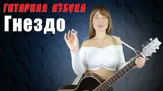 Гитарная Азбука - Гнездо