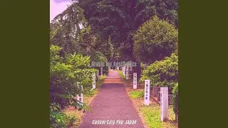 Lovely Easy Listening City Pop - Vibe for Tokyo Dreams