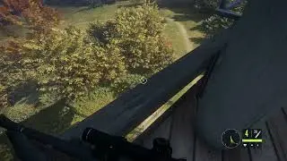 Обычный день в theHunter Call of the Wild