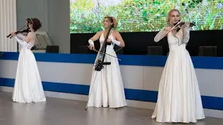 Скрипичное шоу Vitelia. Заказать электроскрипачек Москва