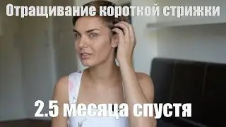 ОТРАЩИВАНИЕ КОРОТКОЙ СТРИЖКИ! 2.5 МЕСЯЦА СПУСТЯ!☝️ПОЭТАПНОЕ ОТРАЩИВАНИЕ ВОЛОС С НУЛЯ