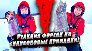Рыбалка с подводной камерой | Тестирование новых удочек | Ловля на силиконовые приманки