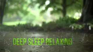 Deep Sleep Music | this video make you sleep | ASMR