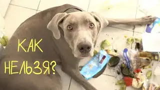 МЫ ПОССОРИЛИСЬ С ОСКАРОМ И ДЖОНИ И ОНИ ИСЧЕЗЛИ😱