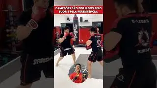 FORJANDO CAMPEÕES! ISSO É D-LIONS, ISSO É SANDA!