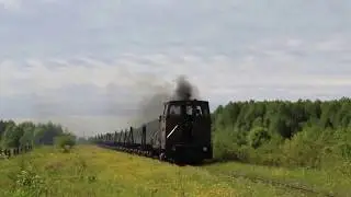 Кобринская УЖД. Тепловоз ТУ7-2569 с порожняком