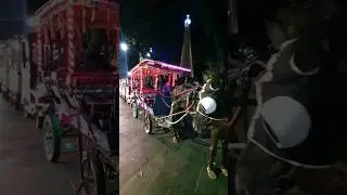 KUDA BENDI NYA KOTA TASIKMALAYA 😆😆  || ANDONG/DELMAN #viral #kudapacu #naikkuda #tasikmalaya