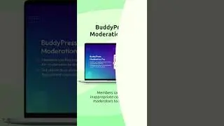 BuddyPress Moderation Pro | BuddyBoss Support Web | Wbcom Designs
