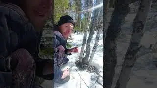 Отвар из трав  