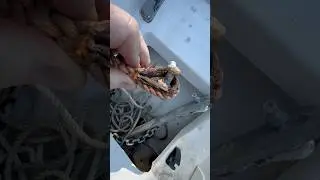 60 sec boat survey (Ep 273): Watch out for these 3 common anchor rode issues!