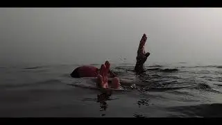 Z - Help (Official Music Video)