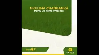 Hizi zinapatikana Agricom Africa.
