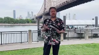Hornblower | NYC Ferry Reduced-Fares