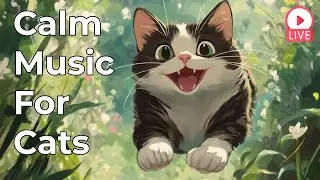 🔴[LIVE] 24/7 Soothing Music for Cats 🎵 Calm and Relax Your Pet 🐈🎵Cat Sleep Music 🔴