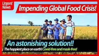 [Eng.영어]Doalnara Oasis Farm/Brazil, the new frontier for overseas farming/Organic farming/돌나라 오아시스