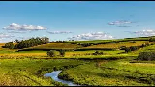 Nature Sounds Birdsong and Stream