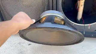 Oiste como trono el bajo?