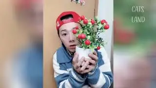 OMG So Cute Cats ♥ Best Funny Cat Videos 2021