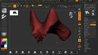 Zbrush 0 начало. Введение. Общие принципы работы. 