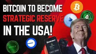 Trump to add Bitcoin to the USA Strategic Reserve Fund! 🚀🌒