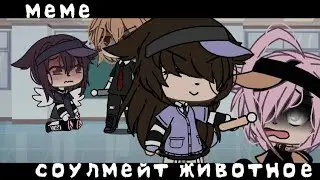 —Соулмейт животное 🥺💞/меме/ЕгорЧик:)