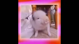 Снимать этот тренд - 🤡 