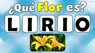 ✔ADIVINA LA FLOR 🌹🌻Sin Vocales || Reto de Flores