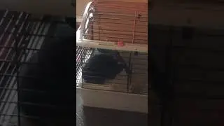 Не спать на второй полке в поезде!