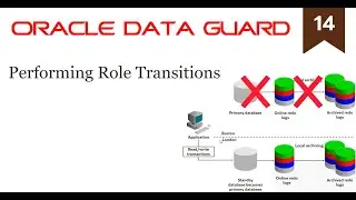Performing Role Transitions (14/19)
