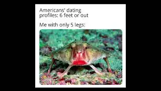Funny Random Memes #1234 #Shorts