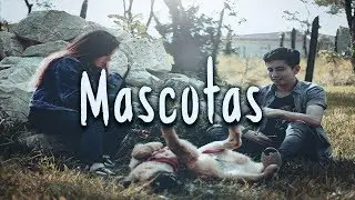 Cuidemos nuestras mascotas🐕